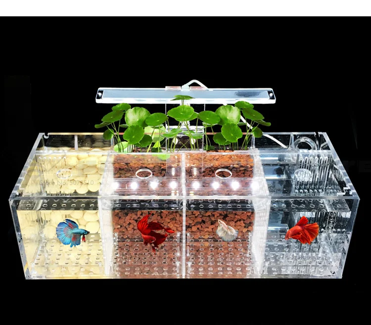 Betta аквариум Гуппи разведение инкубации изолирующая коробка акриловая специальная группа ряд цилиндр живой Рабочий стол экологическое творчество