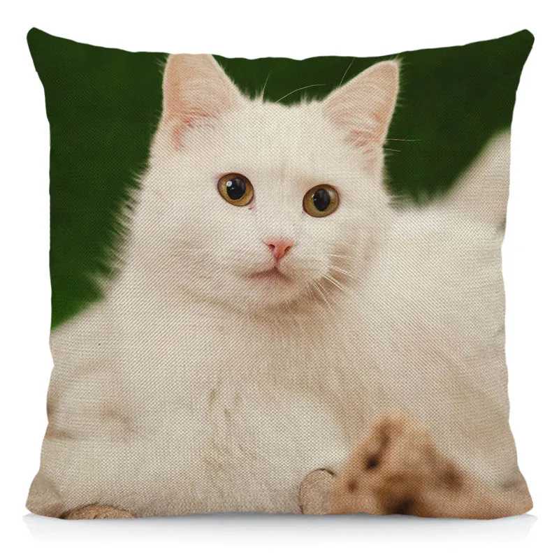 Turkish Angora Cat Pattern Cushion Cover 45x45cm Animal Print Throw Decorative Pillow Case DWM016 | Дом и сад