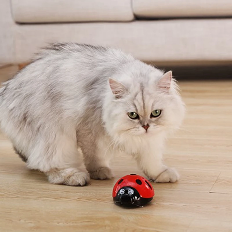 [MPK Store] Catch Me If You Can Super Fun Cat Toy, Pet Toy, Watch Our Video to Know More image 2