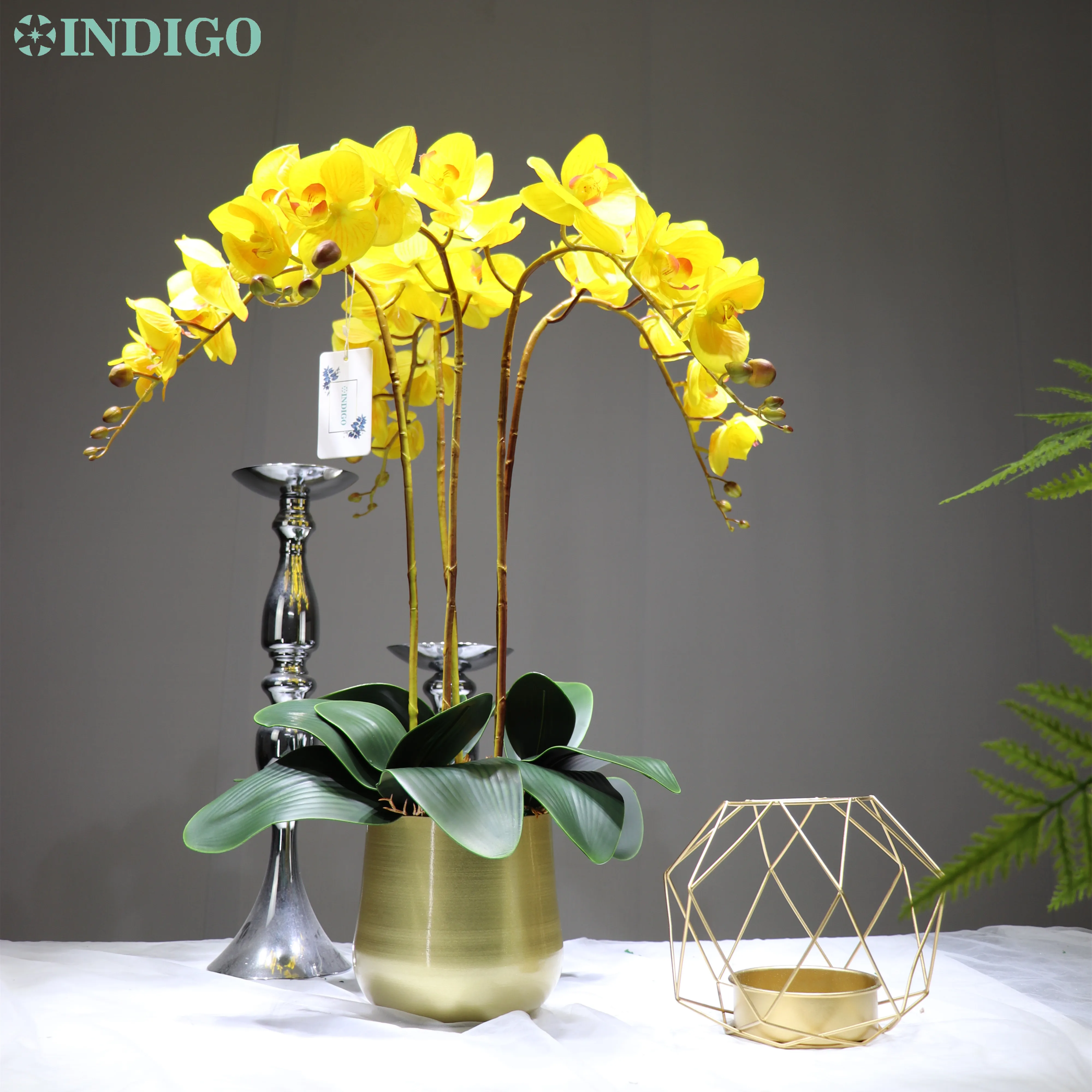 Индиго 5 шт. желтая фаленопсис Орхидея (7 цветов/стебель) Настоящий сенсорный