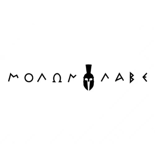 

MOLON LABE Personalized Vinyl Decals Car Stickers Motorcycle Accessories Black/Silver 18cm*4cm