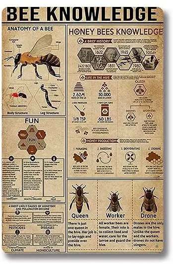 

Old Art Retro Metal Tin Sign Bee Knowledge ! for Shop/Home/Farm/Cafe/Garage/Wall Decor,Best Gift Decor Design 8x12 Inch