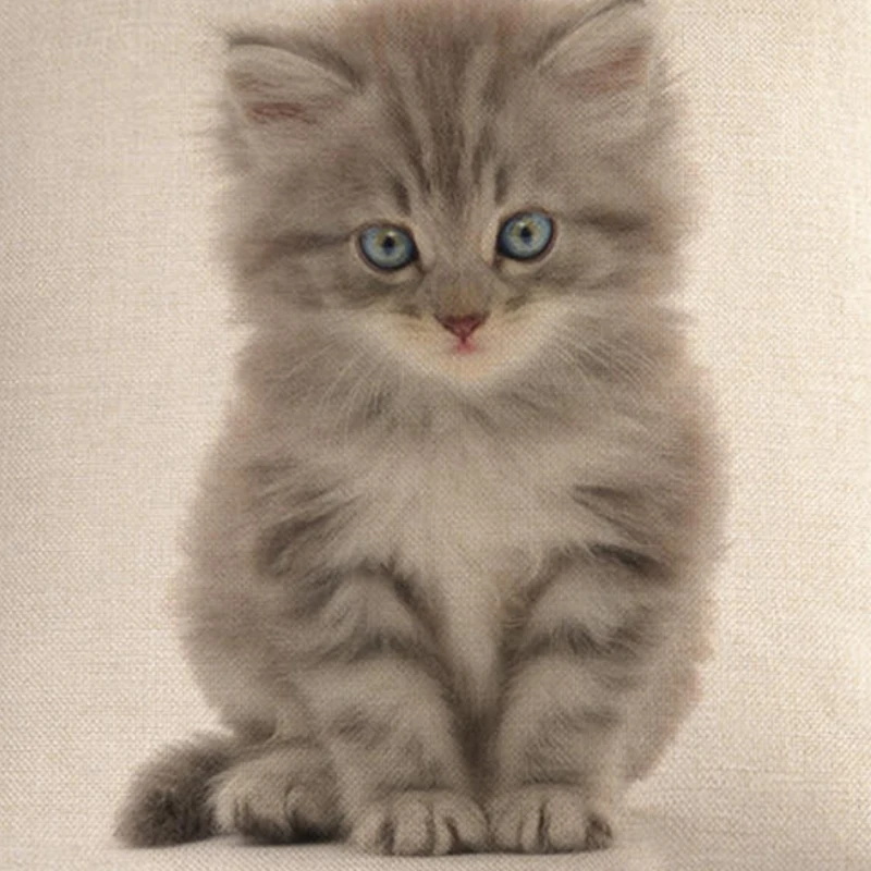 

Hot Cute Cat Sofa Decorative Cotton Linen Cushion Cover Pillow Pillowcase Throw Pillow Home Decor Pillowcover