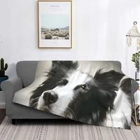 working border collie blanket bedspread bed plaid throw beach towel thermal blanket blankets for bed