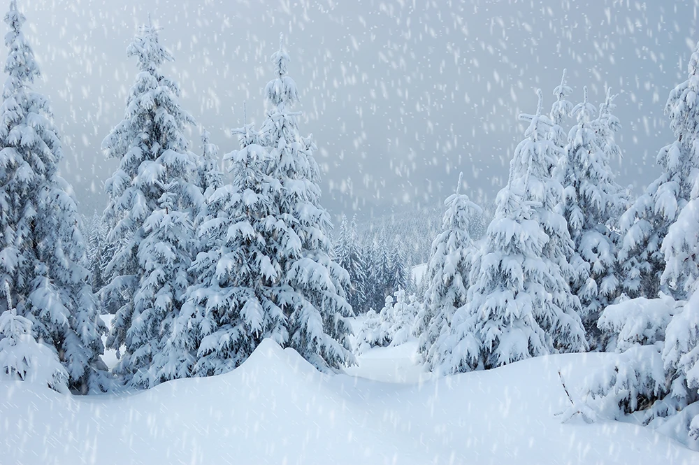 

Вечерние фоны для фотосъемки с рождественской елкой Noel зимний Снежный Снеговик деревенский фон для студийной фотосъемки