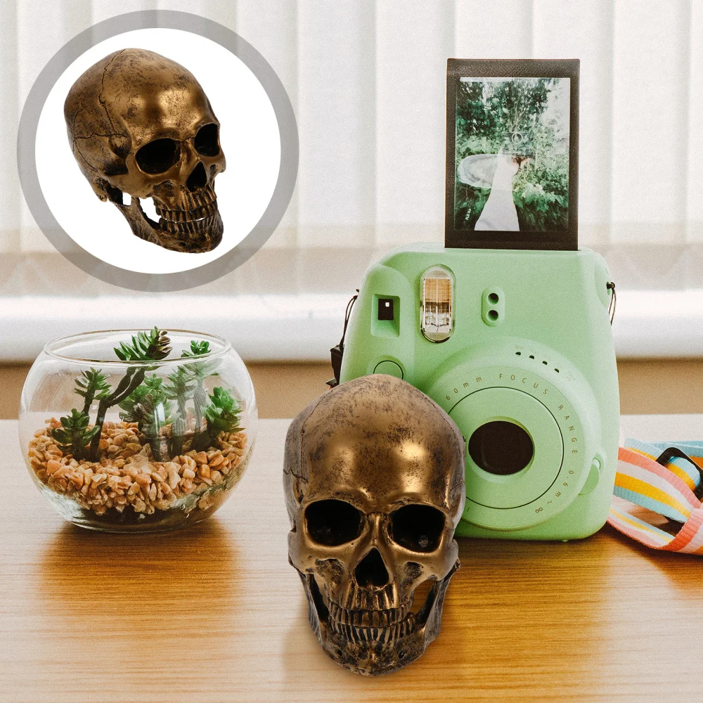 

1 Pc Human Decor Skeleton Head Sculpture Statue Realistic Decoration
