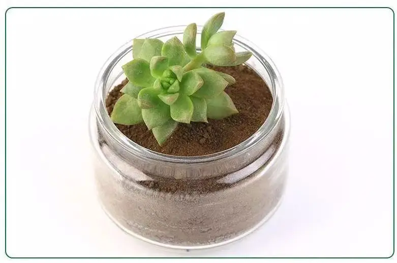 Универсальное органическое удобрение в горшках для цветов улучшает почву и