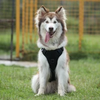 durable dog harness medium and large dogs training pad pets vests harnesses outdoor dogs product harness winter removable chests