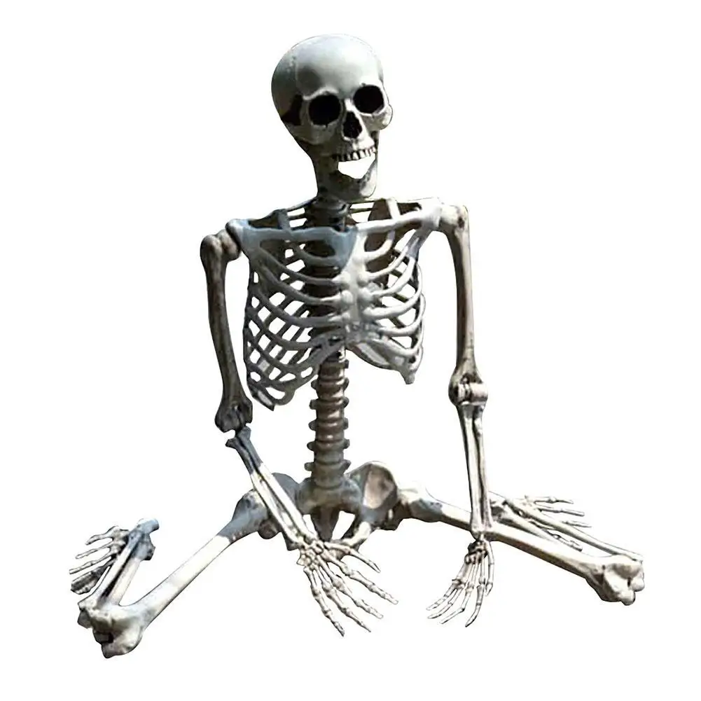 

70cm Durable Simulation People Skeleton Funny Movable Human Skull Model Halloween Party Bar Haunted House Scary Props Home Decor