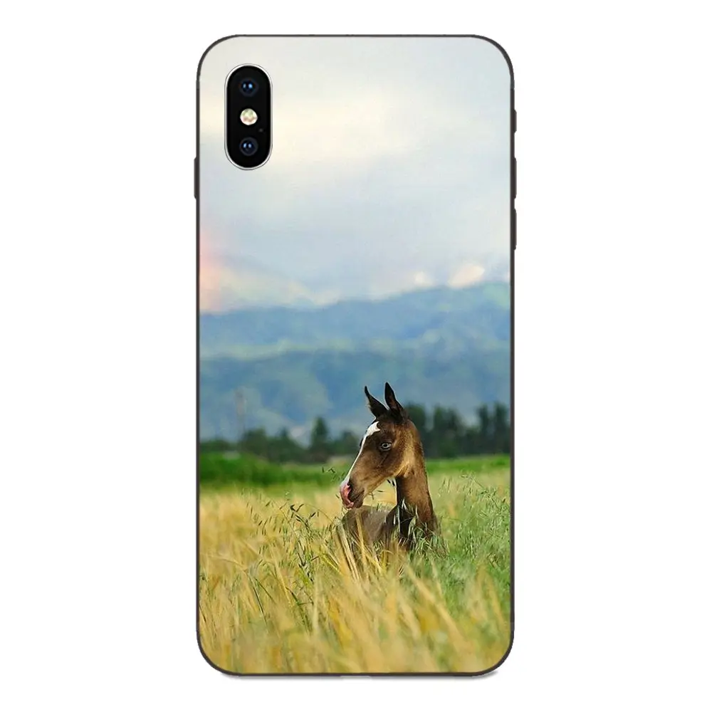 Для Huawei nova 2 2S 3i 4 4e 5i Y3 Y5 II Y6 Y7 Y9 Lite Plus Prime Pro 2017 2018 2019 красочный стиль Радуга лошадь