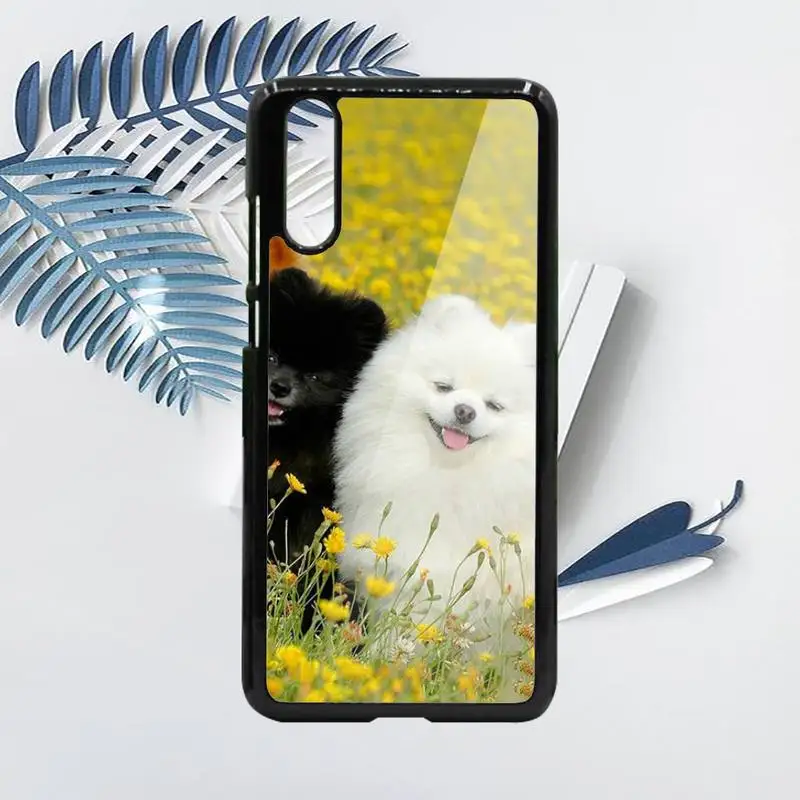 

Pomeranian dogs dog cute animal Phone Case PC For Samsung galaxy S note 8 9 20 10 e lite2019 plus pro ultra