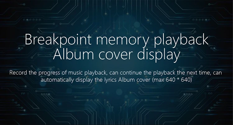 XDUOO D3 Профессиональный музыкальный MP3 HIFI музыкальный плеер с HD OLED экраном Поддержка APE/FLAC/ALAC/WAV/WMA/OGG/MP3