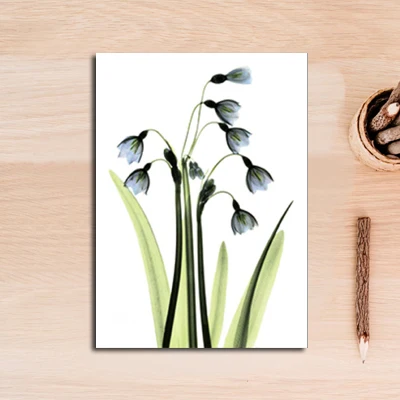 

Spring Green Plant Purple Lavender Leaves Flower Canvas Paintings Wall Art Picture Poster Print Living Room Home Decor