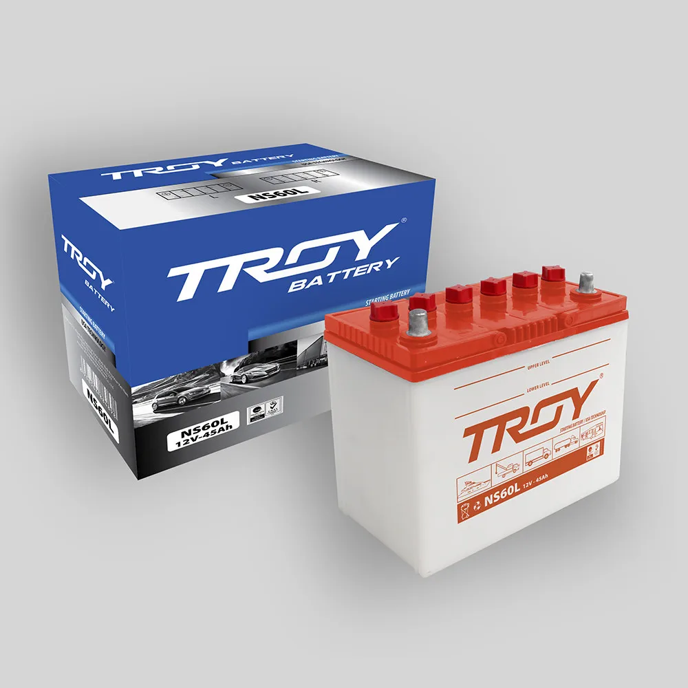 

Vietnam NS60L 12V 40 AH Car Battery Troy