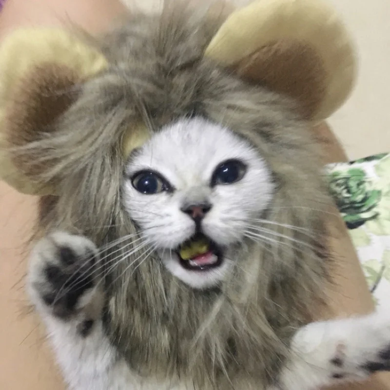 Забавная шляпа для собаки льва зимние костюмы на день рождения костюм фурри шляпы щенка аксессуары