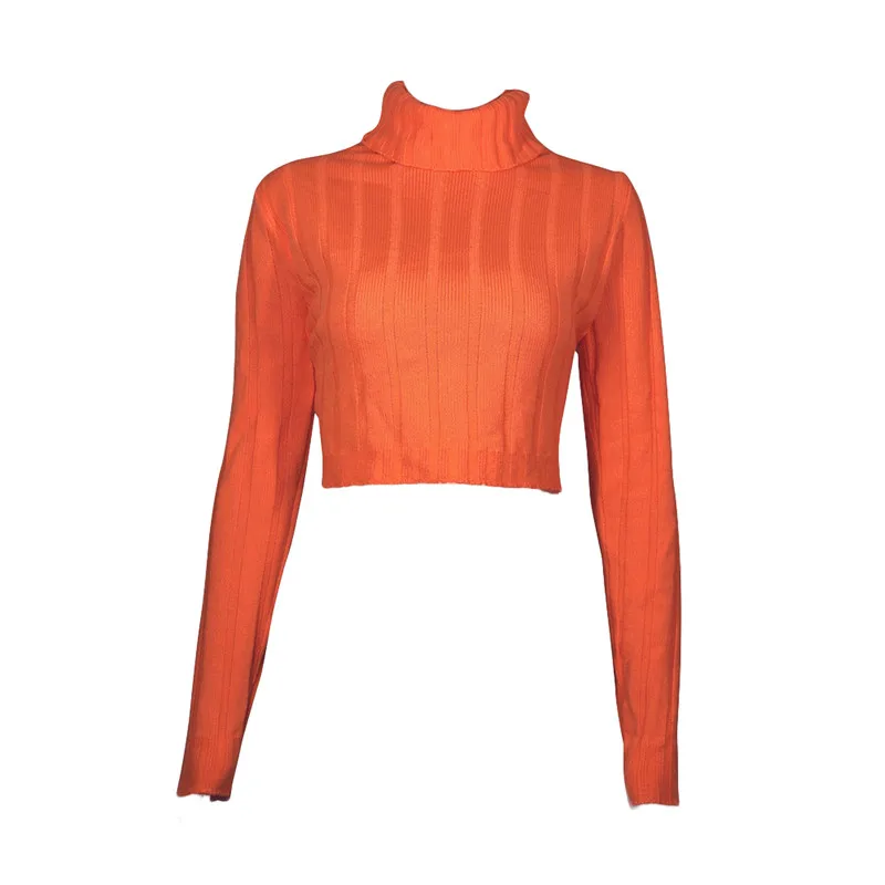 

Women Long Sleeve High Collar Top Fashion Solid Color Sweater Crop Top Autumn Winter Clothes