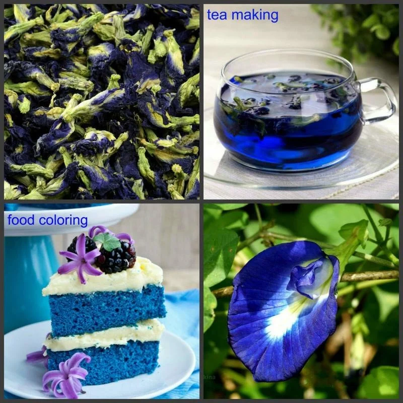 

HFU Blue Butterfly Tea Pea Flower Tea Pure Natural Improve Immunity Relive Stress Help Sleep with Vitamins A C