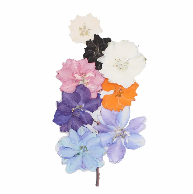 Прессованный высушенный для ювелирных изделий гербарий из растений Закладка