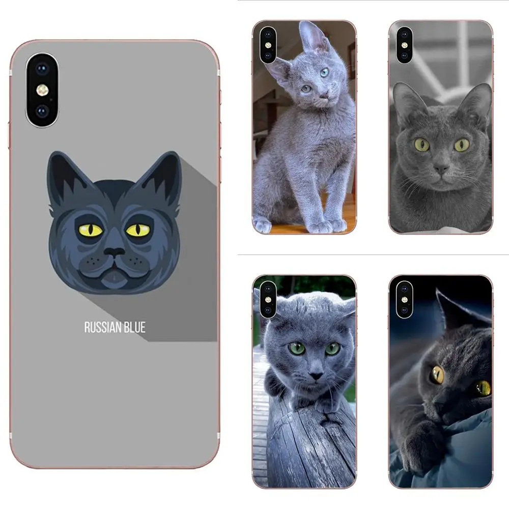 Домашние животные русские синие кошачьи зеленые глаза для Galaxy Alpha Note 10 Pro A10 A20 A20E A30