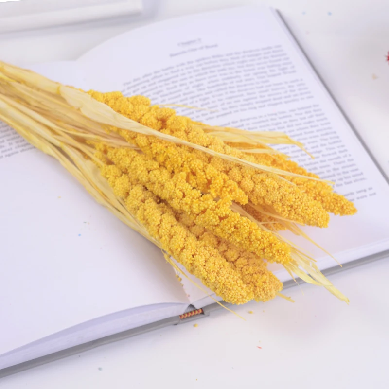 10 шт. Натуральные сушеные цветы зерно пшеничные уши букет Искусственные семья