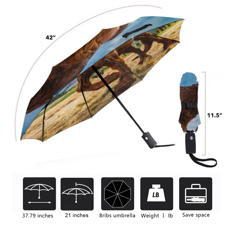 Роскошный зонт для путешествий с автоматическим открыванием и закрытием 3