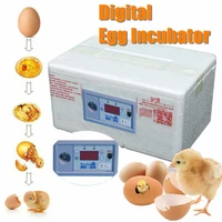 eggs incubator 12v automatic digital temperature incubator chicken poultry hatcher foam waterbed incubator farm incubation tools