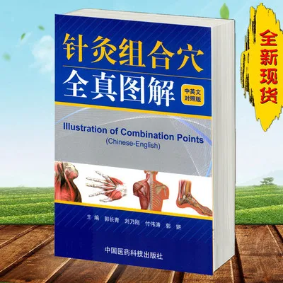 

illustration of combination points Chinese-English acupuncture massage learning book