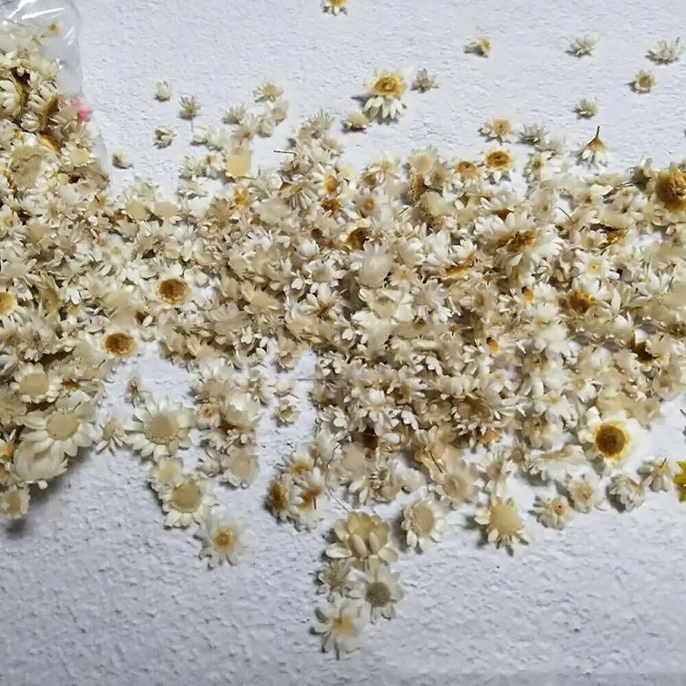 100 шт. зеркальные хризантемы в виде головы для украшения ногтей | Дом и сад