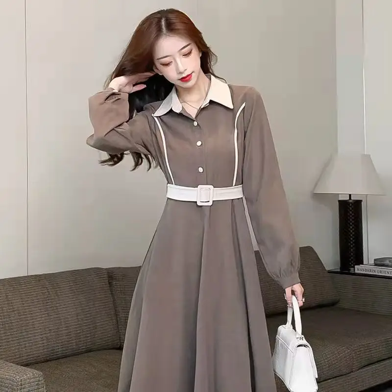

2021 New Hot Style Padded Dress Autumn And Winter Shirt Skirt Light Luxury Design With Coat Long Skirt