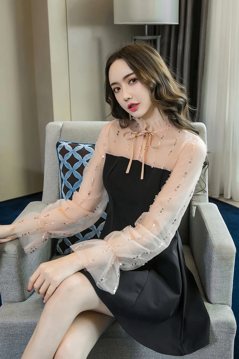 

COIGARSAM Women one-piece dress korean Spring Vintage Mesh Dresses Black 90321