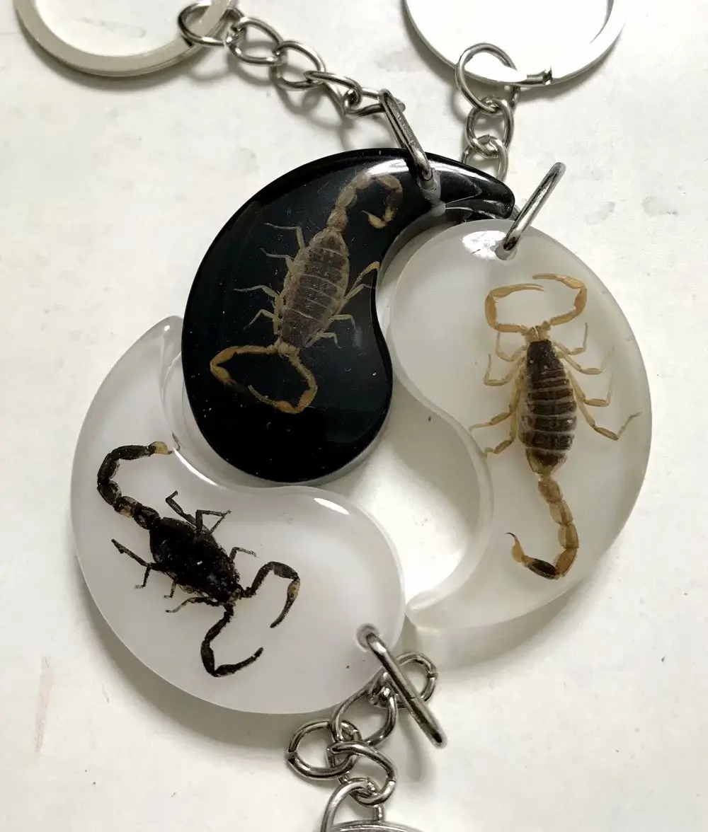 12 шт. брелок для ключей|Брелоки| |