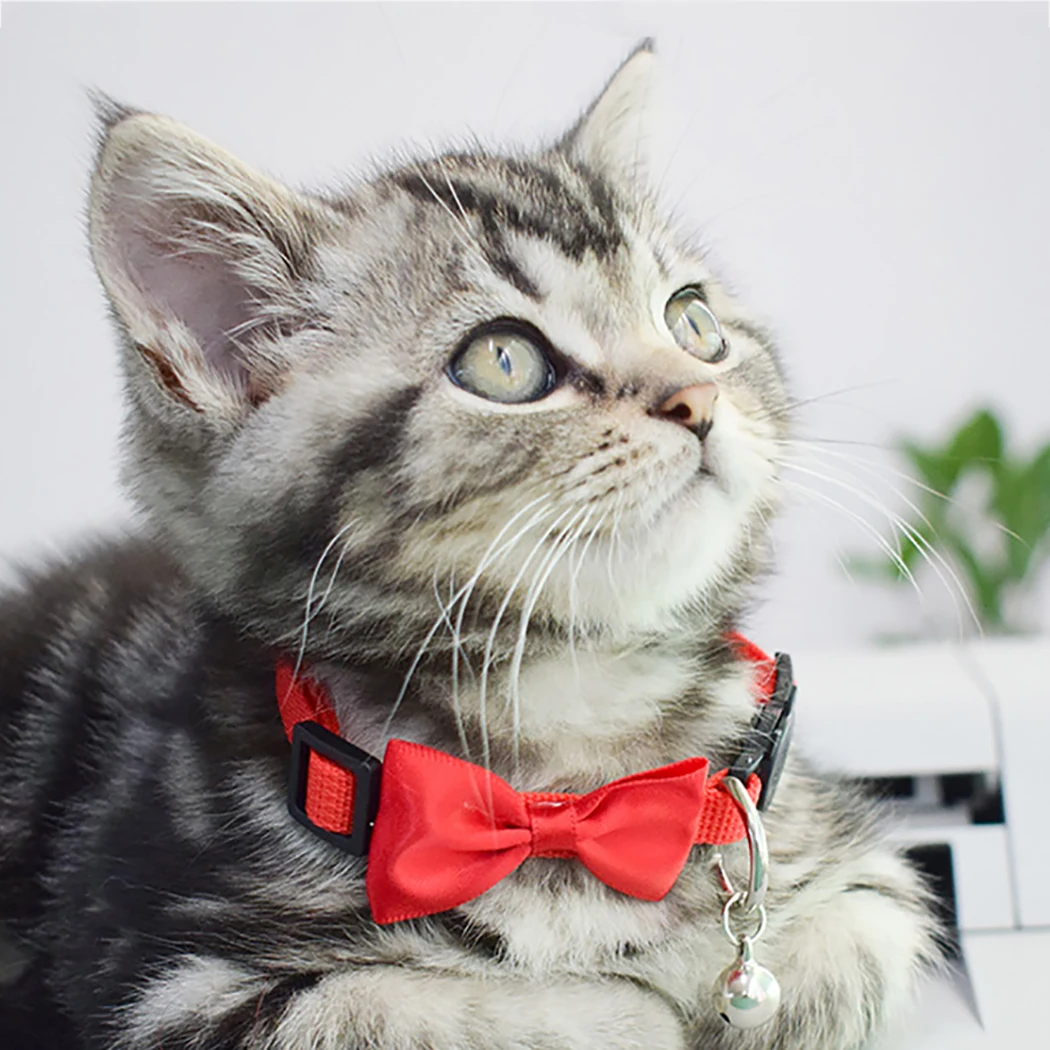 2 шт. высокое качество бант кошачий ошейник модный прекрасный нейлоновый для