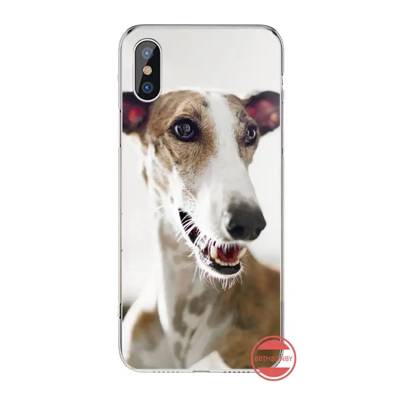 

Galgo Greyhound Dog Phone Cases For iphone 12 5 5s 5c se 6 6s 7 8 plus x xs xr 11 pro max