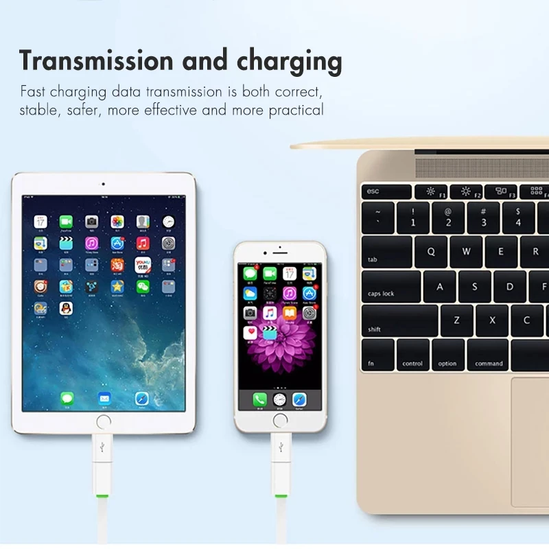 

Mini OTG Lightning To Micro USB Adapter for Apple IPhone 12 11 Pro Max XS MAX XR X 7 8 6S 6 Data Sync Charger Cable Connector