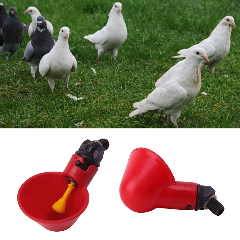 

Poultry Water Drinking Cups Plastic Poultry Chicken Hen Bird Automatic Drinker D7WE