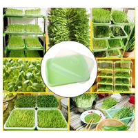 d0ac seed sprouter tray bpa free pp soil free healthy wheatgrass grower with cover seedling sprout plate hydro