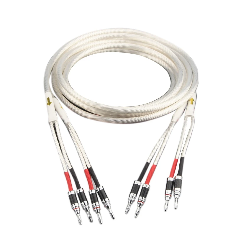 

Xangsane HIFI Silver-Plated Speaker Cable Hi-End 4N OFC Speaker Wire for Hi-Fi Systems Y Plug Banana Plug Speaker Cable