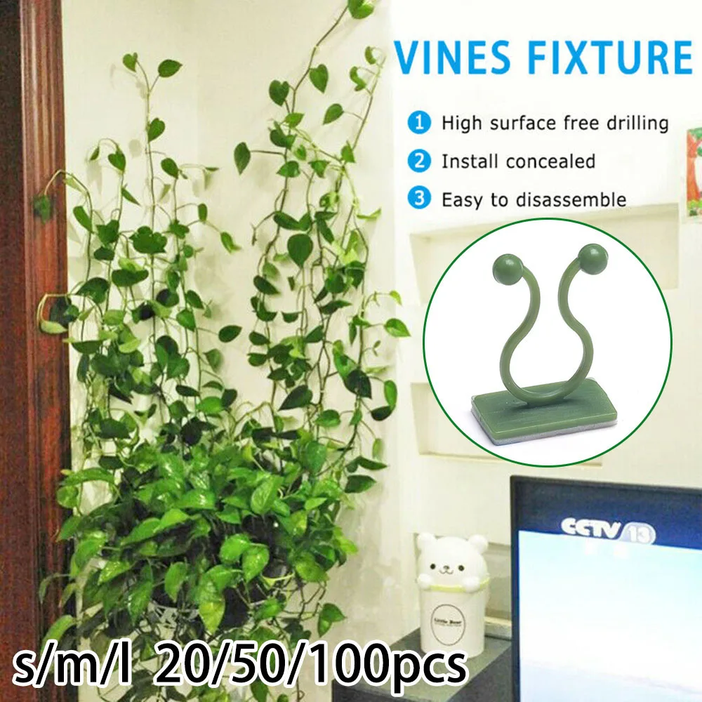 

20/50/100pcs Invisible Plant Climbing Wall Sticky Hook Vine Fixing Clamp Fixture Brand New And High Quality 2020