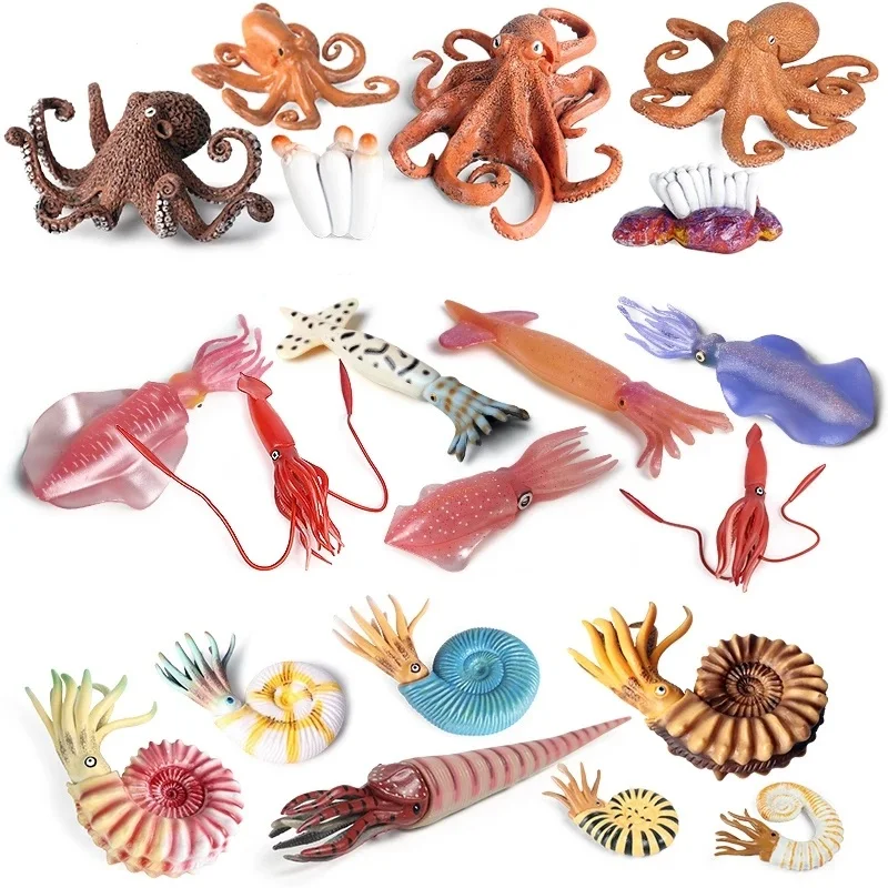 

Classic Sea Life Mollusk Model Simulation Squid Nautiloidea Octopus Growth Cycle Action Figure Ocean Animals Set Kids Toy Gifts