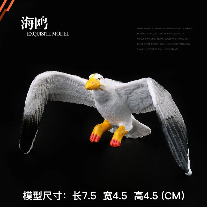 Твердая модель животного дикий зоопарк птица попугай Чайка эмуляция дикой
