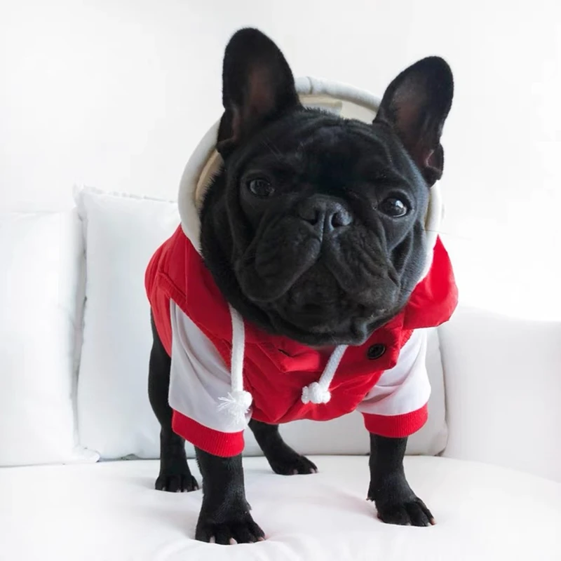 Спасательный жилет для собаки акула. Жилетки для бульдогов. Жилет для французского бульдога 2xl. Спасательный жилет для собаки французский бульдог. Комбинезон зимний триол "французский бульдог".