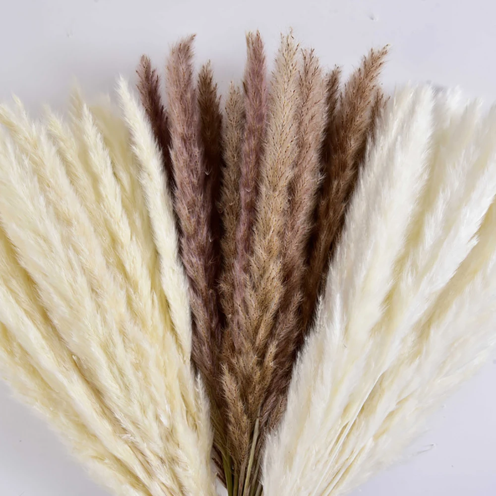

Bulrush Natural Dried Small Pampas Grass Phragmites Artificial Plants Wedding Flower Bunch for Home Decor Fake Flowers