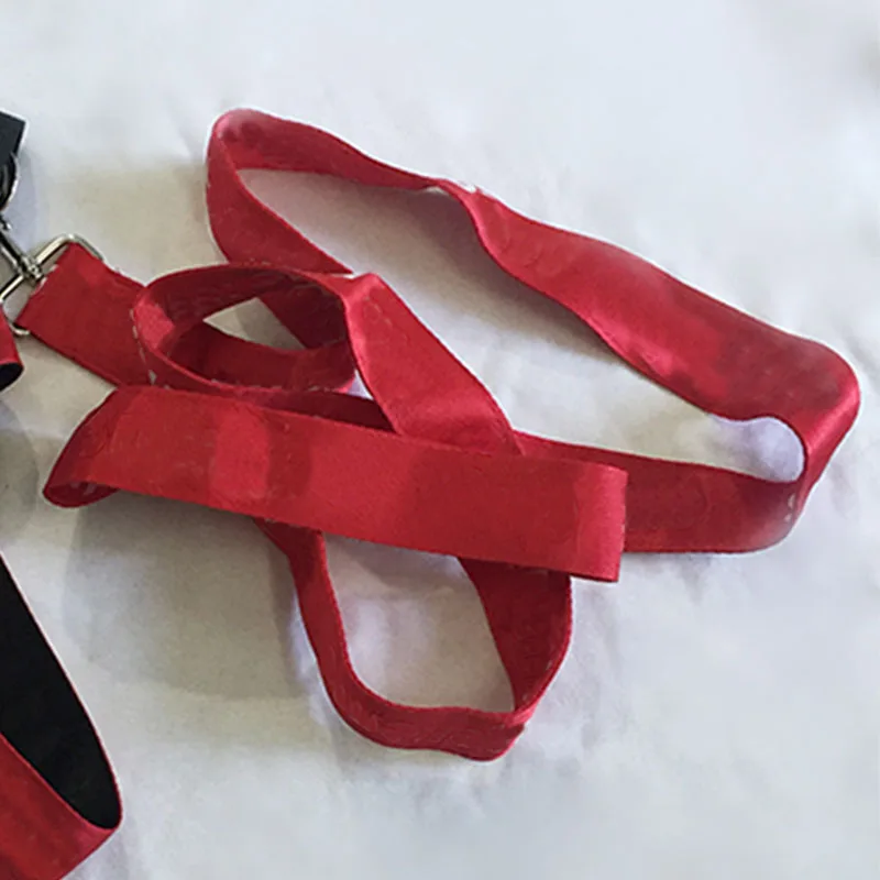 Модный поводок для собак, набор для маленьких и средних собак, кошек, домашних питомцев, нейлоновый поводок, поводок для собак LC0135