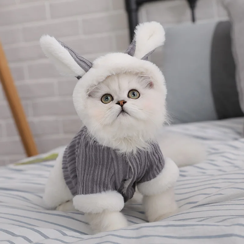

Одежда для кошек, котят, домашних животных, осень и зима, милая теплая кошка с четырьмя ногами, зимняя марионетка, кошка против выпадения вол...