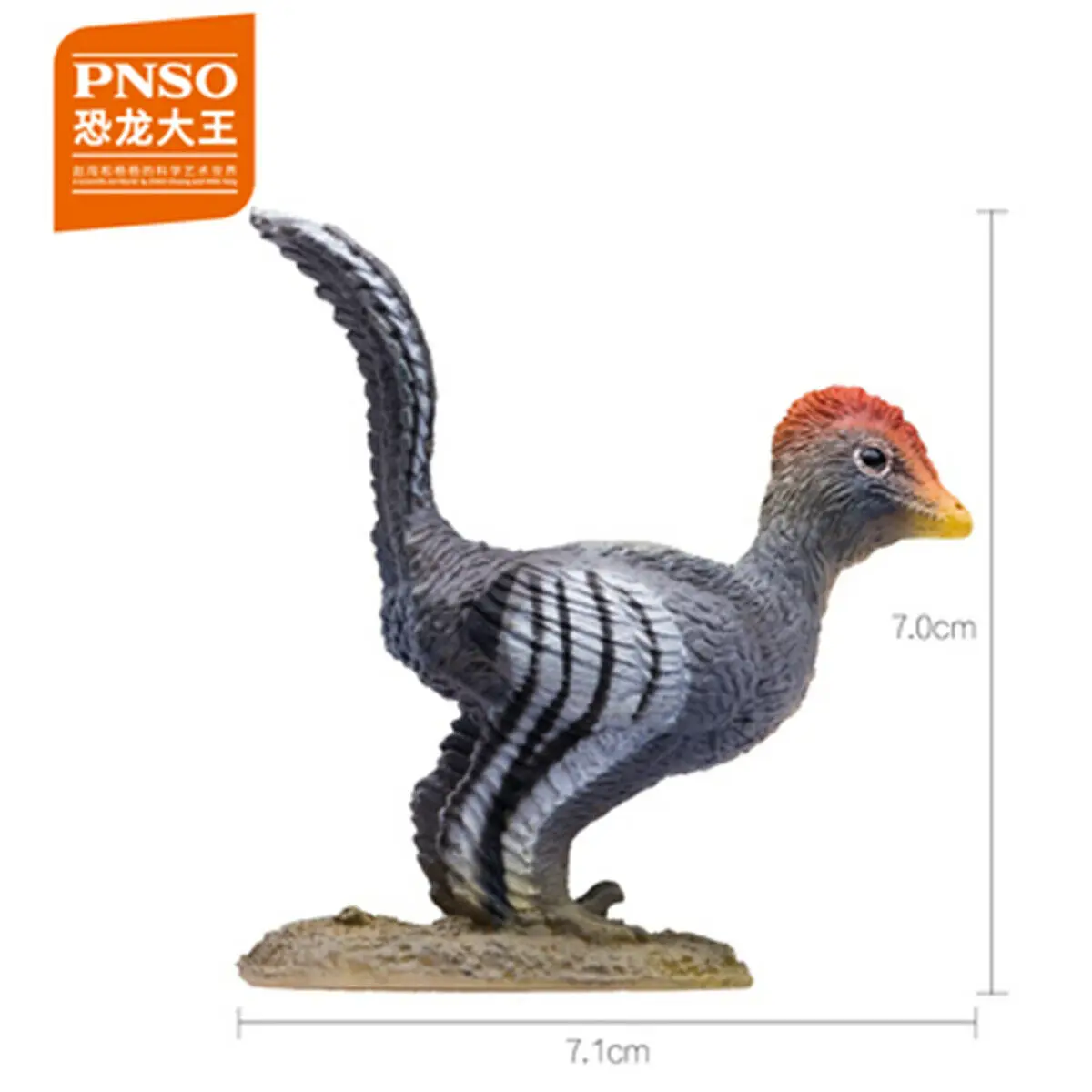 Anchiornis Игрушки PNSO Alioramus keichusaurus Spinops дакозавр эктенозавр динозавр фигурка барионикс qianzhousharus Indosuchus olorotan - Цвет: Anchiornis