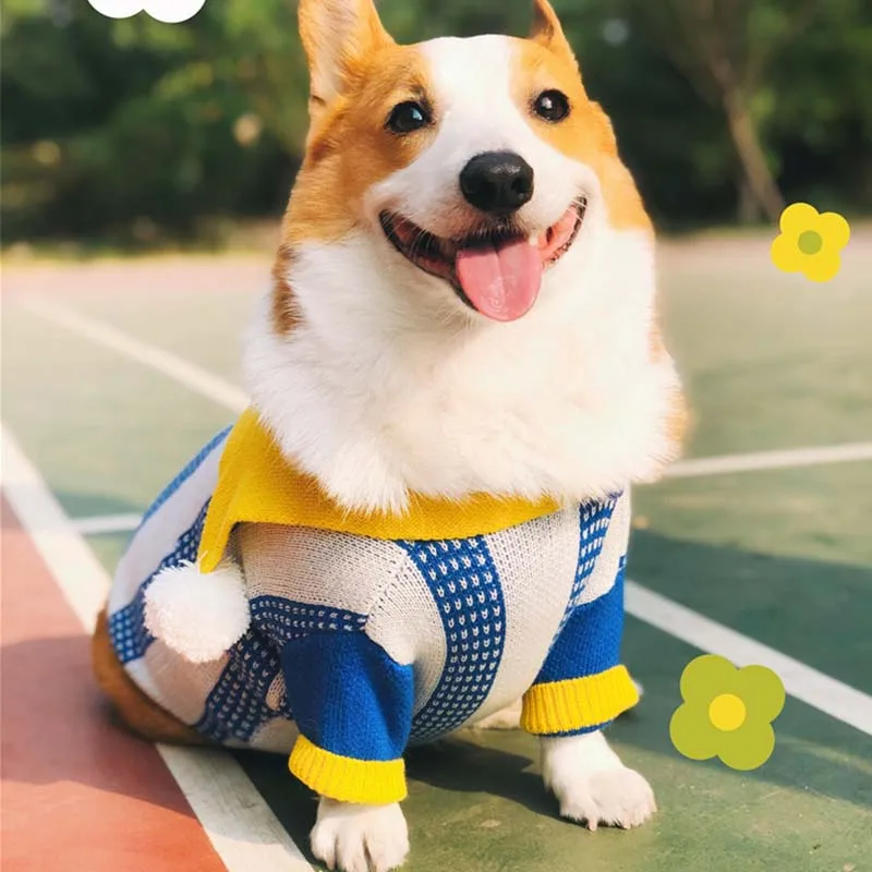 Забавная Одежда для собак в детском саду свитер домашних животных теплая одежда