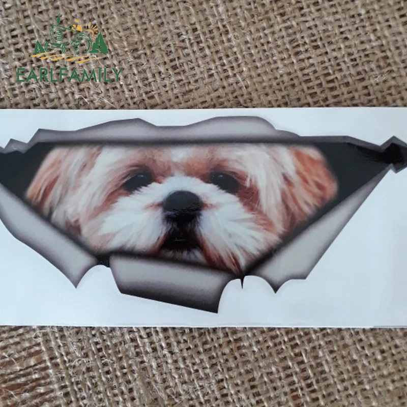 EARLFAMILY 15 см x 6 Shih tzu 3D забавная наклейка для автомобилей Pet с собакой оригинальные