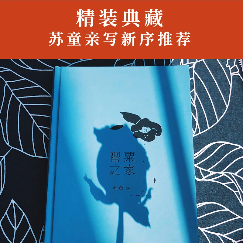 Представитель макового дома работал Су Тонг обладатель литературной премии Мао