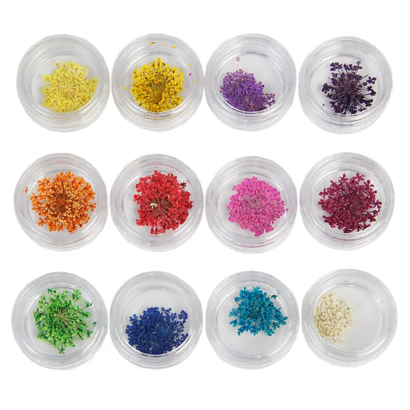 

12 Colors 3D UV Gel Dried Dry Flowers Tips Decor Nail Art DIY