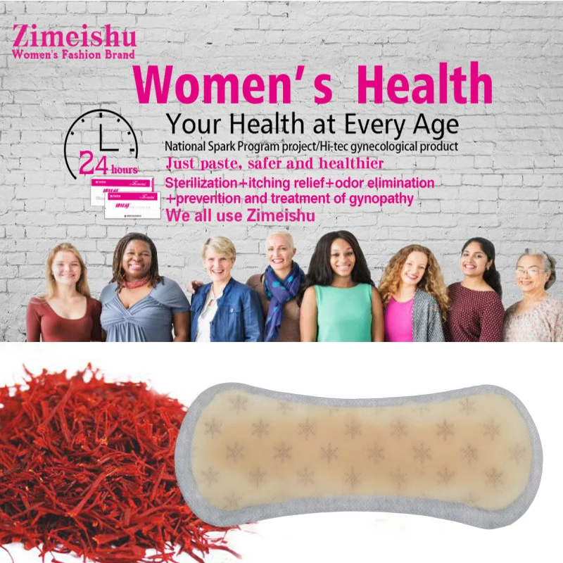 

30 Pcs zimeishu silver-ion gynecological cure care pad womens medicated pads sanitary pads female feminine hygiene yoni pearls
